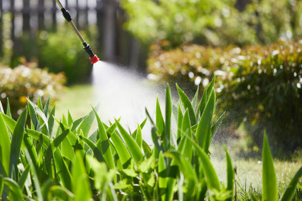 24/7 Emergency Termite Control experts in Nixa, MO