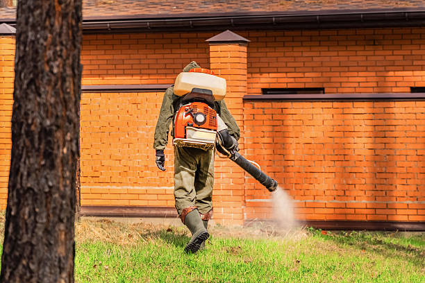 Top rated local Termite Control specialists in Nixa, MO